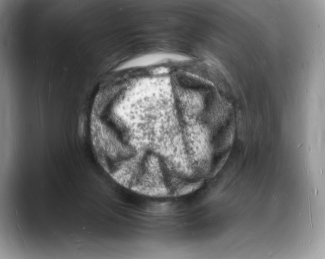 X0000088030071200706081510