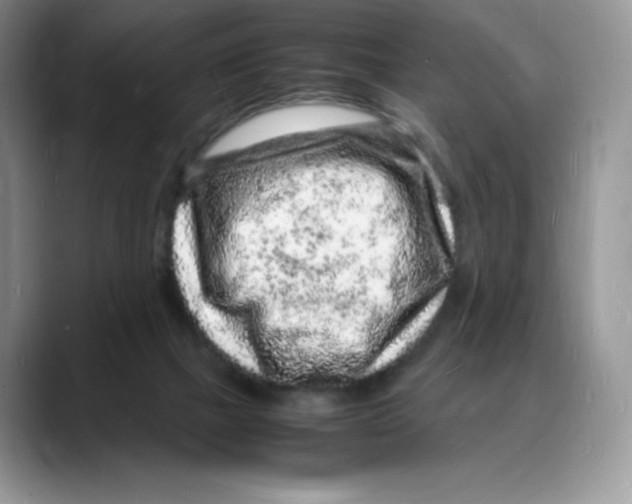 X0000088030073200706081510