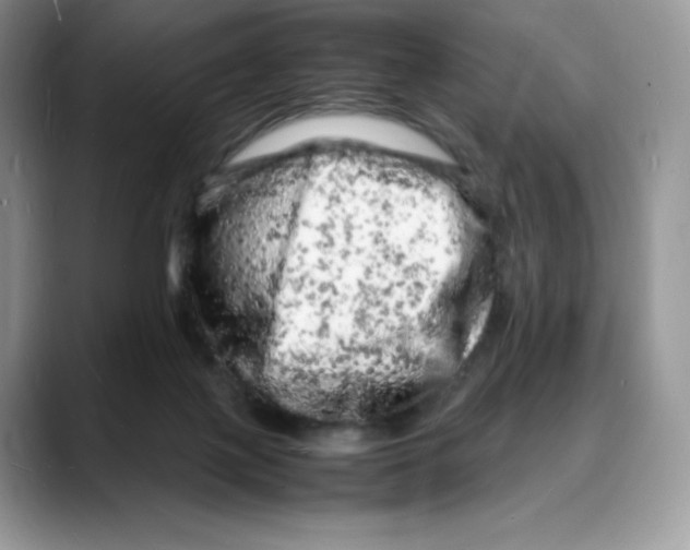 X0000088030075200706081510