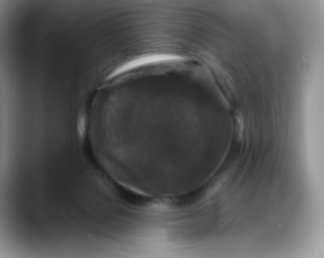 X0000088030076200706081510