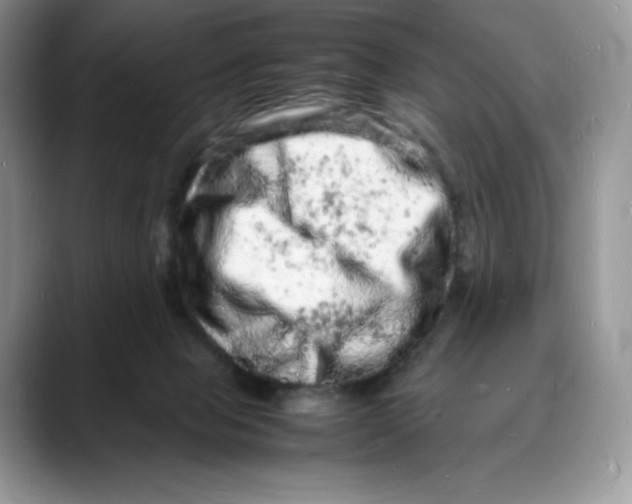 X0000088030077200706081510