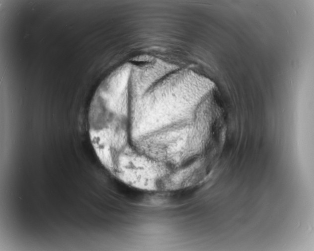 X0000088030078200706081510