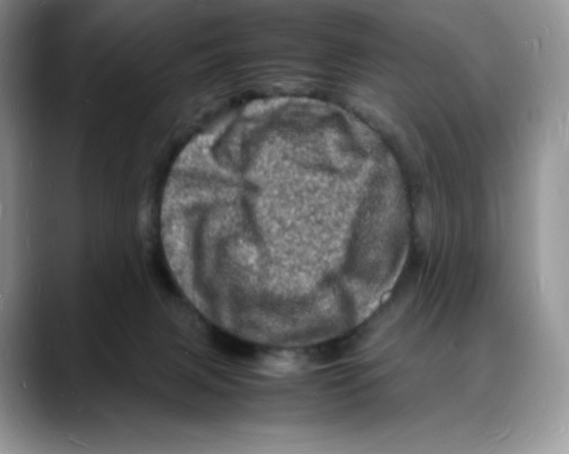 X0000088030079200706081510