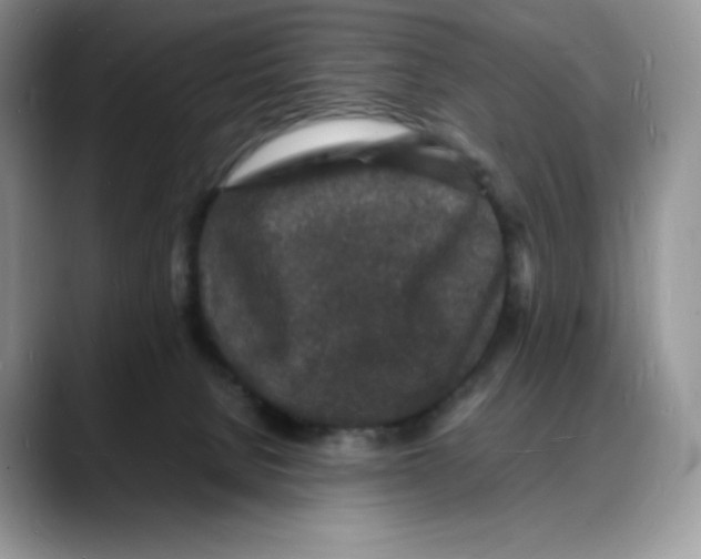 X0000088030080200706081510