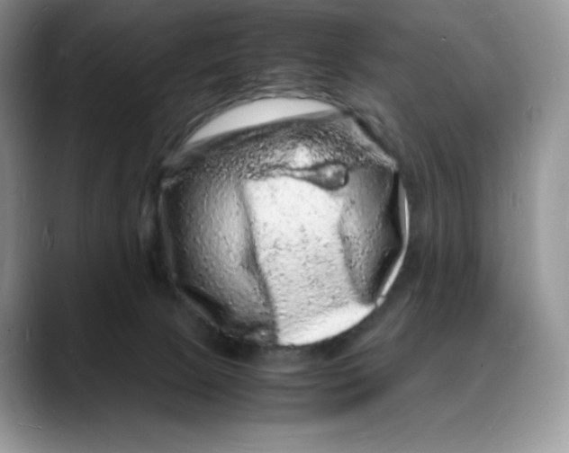 X0000088030081200706081510