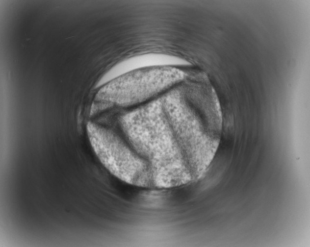 X0000088030082200706081510