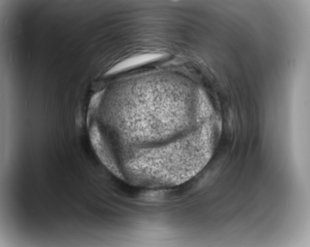 X0000088030084200706081510