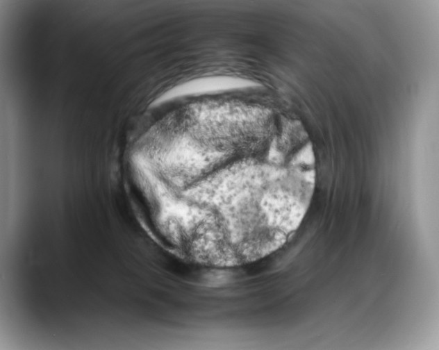 X0000088030085200706081510