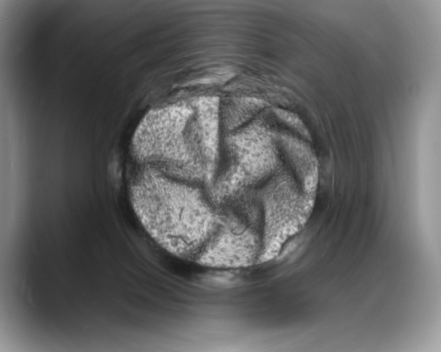 X0000088030086200706081510