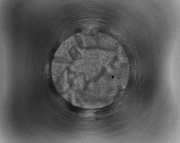 X0000088030087200706081510