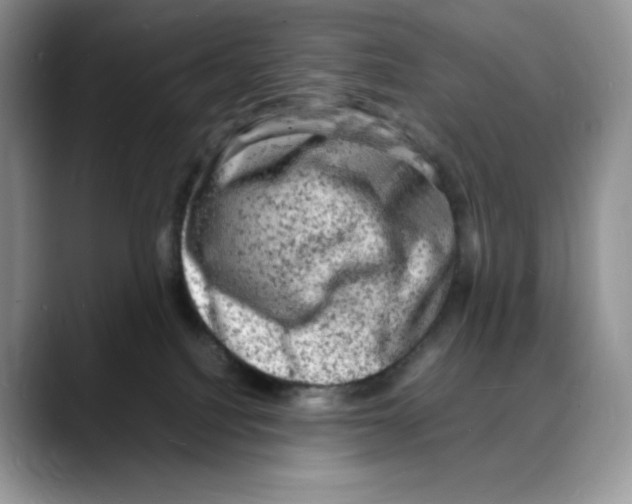 X0000088030088200706081510