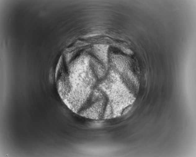 X0000088030090200706081510