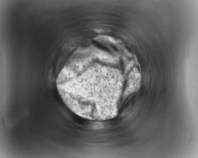 X0000088030091200706081510