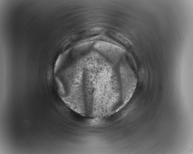 X0000088030092200706081510