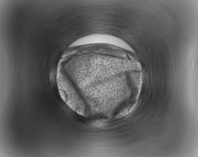 X0000088030094200706081510