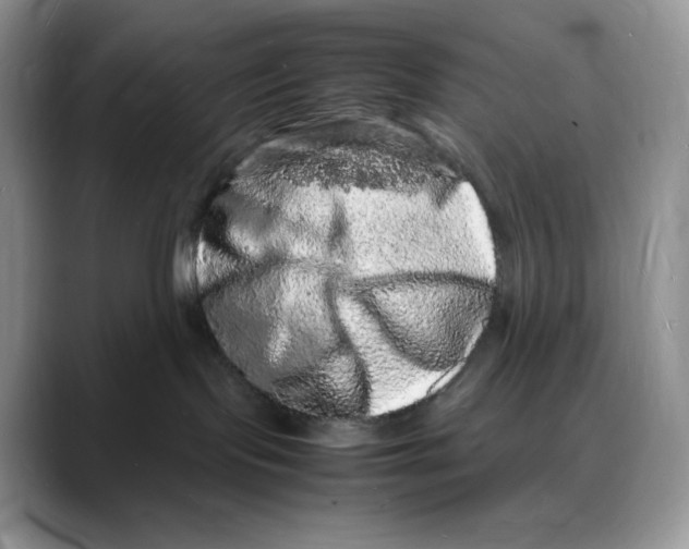 X0000088030095200706081510