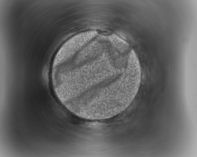 X0000088030098200706081509