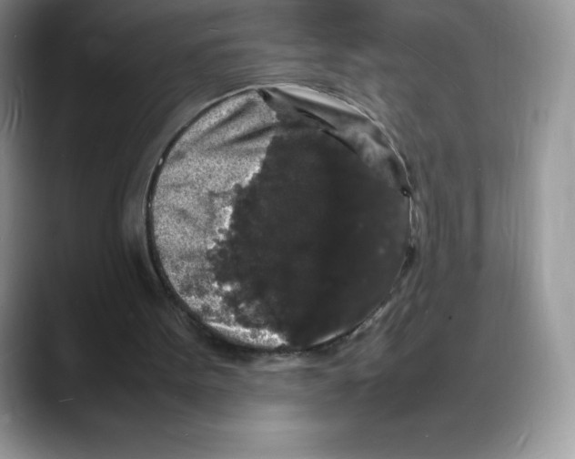 X0000088030099200706081509