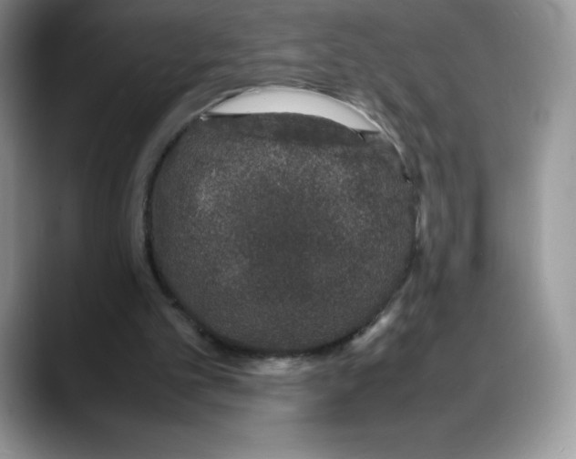 X0000088030101200706081509