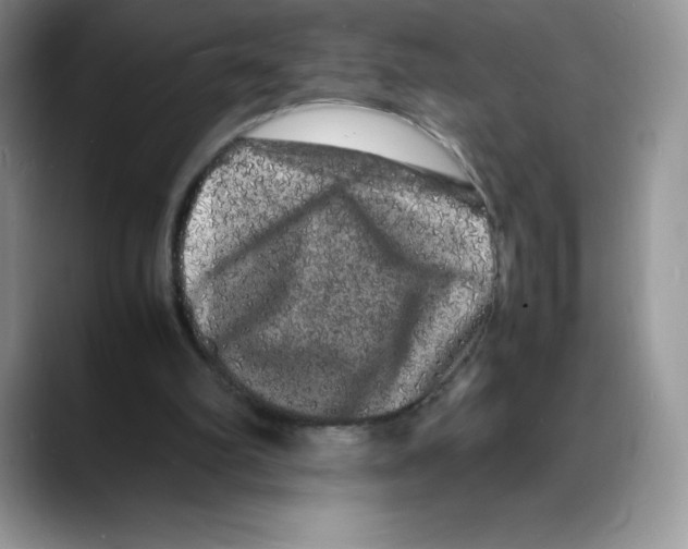 X0000088030102200706081509