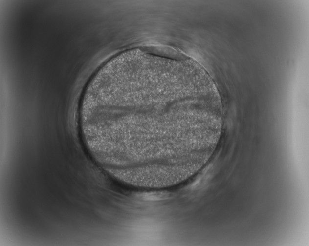 X0000088030103200706081509