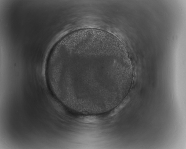 X0000088030104200706081509