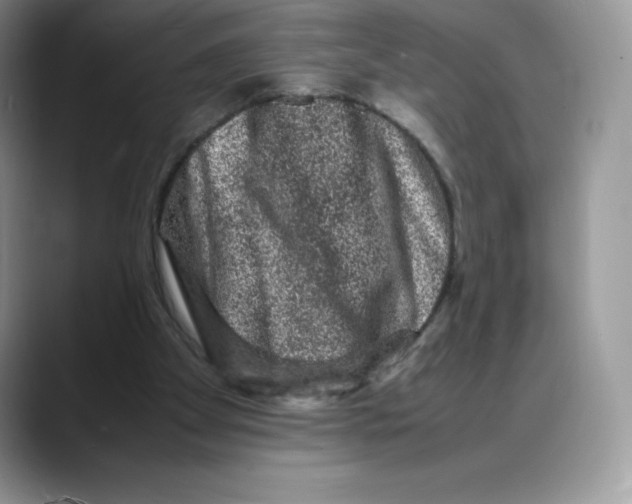 X0000088030105200706081509