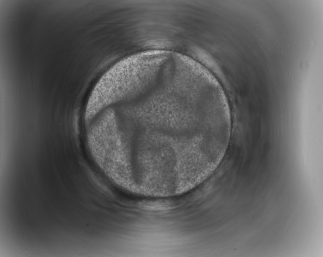 X0000088030106200706081509