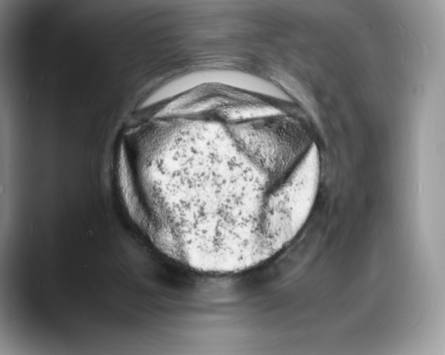 X0000088030107200706081509