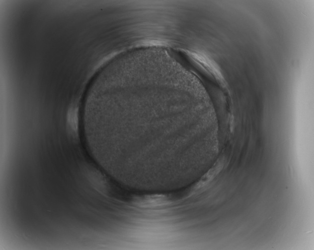 X0000088030108200706081509