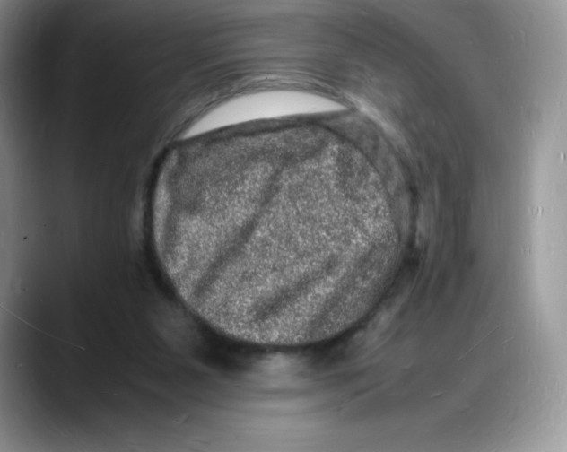 X0000088030111200706081509