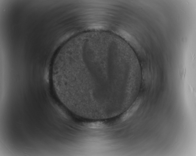 X0000088030112200706081509