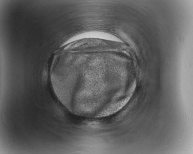 X0000088030113200706081509