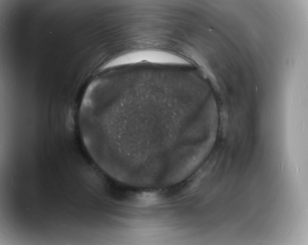 X0000088030114200706081509