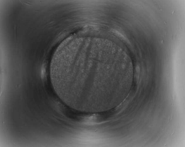 X0000088030116200706081509