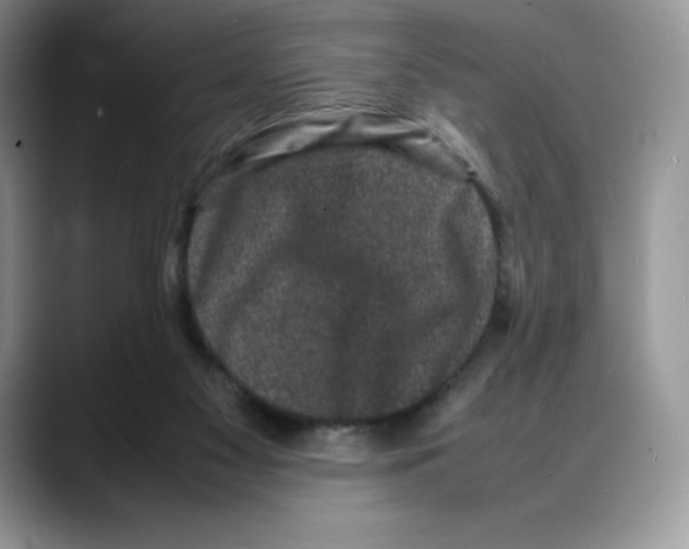 X0000088030117200706081509
