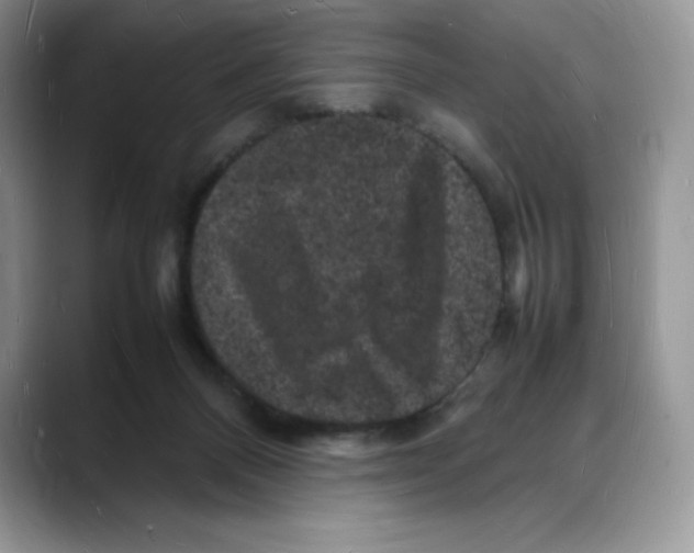 X0000088030120200706081509
