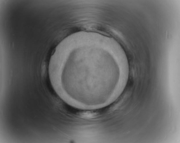 X0000088030121200706081509