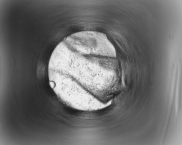 X0000088030123200706081509