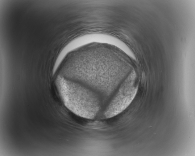 X0000088030125200706081509