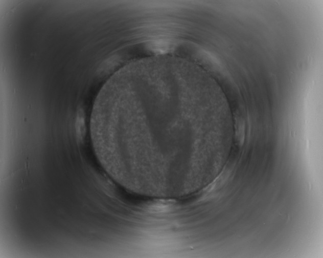 X0000088030128200706081509