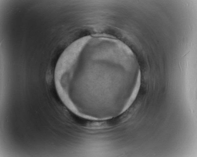 X0000088030129200706081509