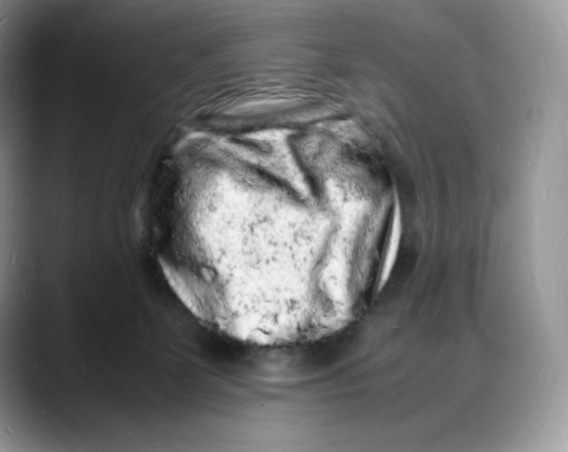 X0000088030131200706081509