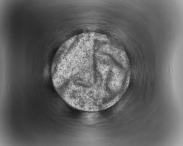 X0000088030135200706081509