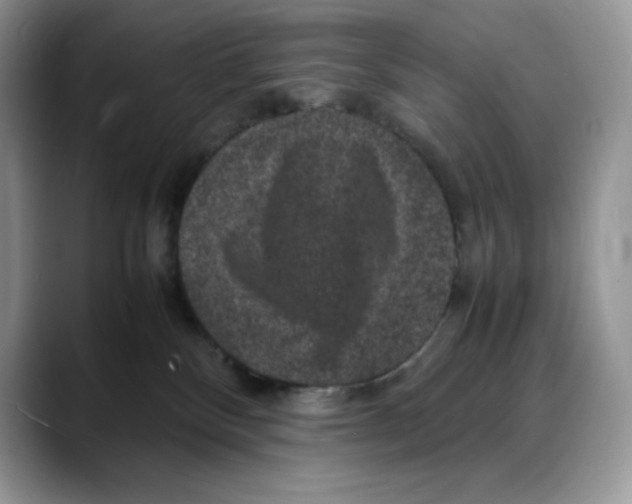 X0000088030136200706081509