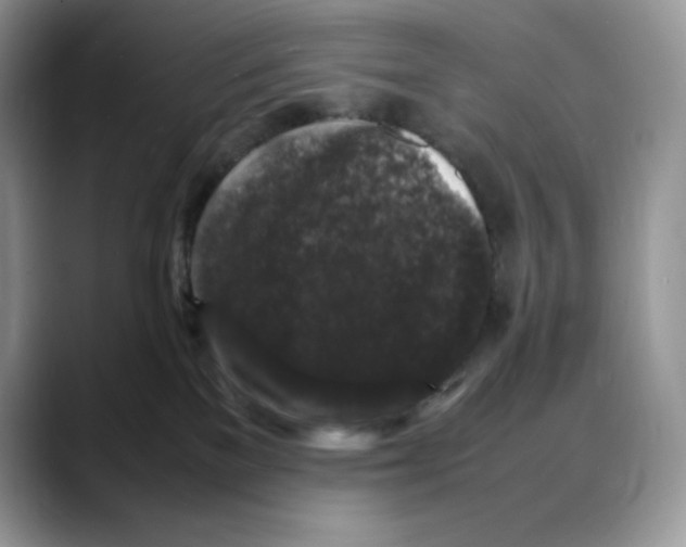X0000088030137200706081509