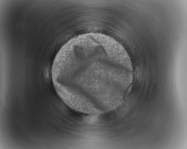X0000088030138200706081509