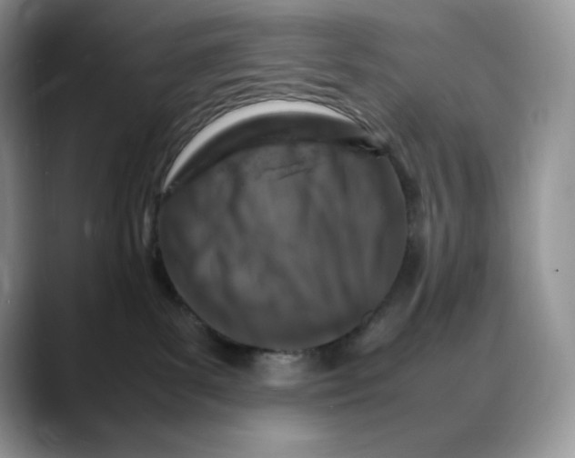 X0000088030139200706081509
