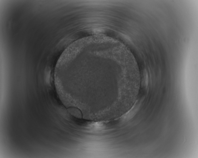 X0000088030140200706081509