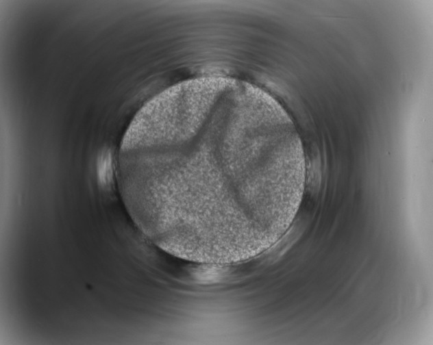 X0000088030142200706081509